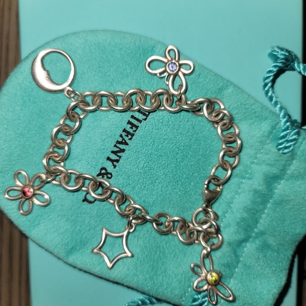 Tiffany and Co. vintage moon star flower butterfly charm bracelet
